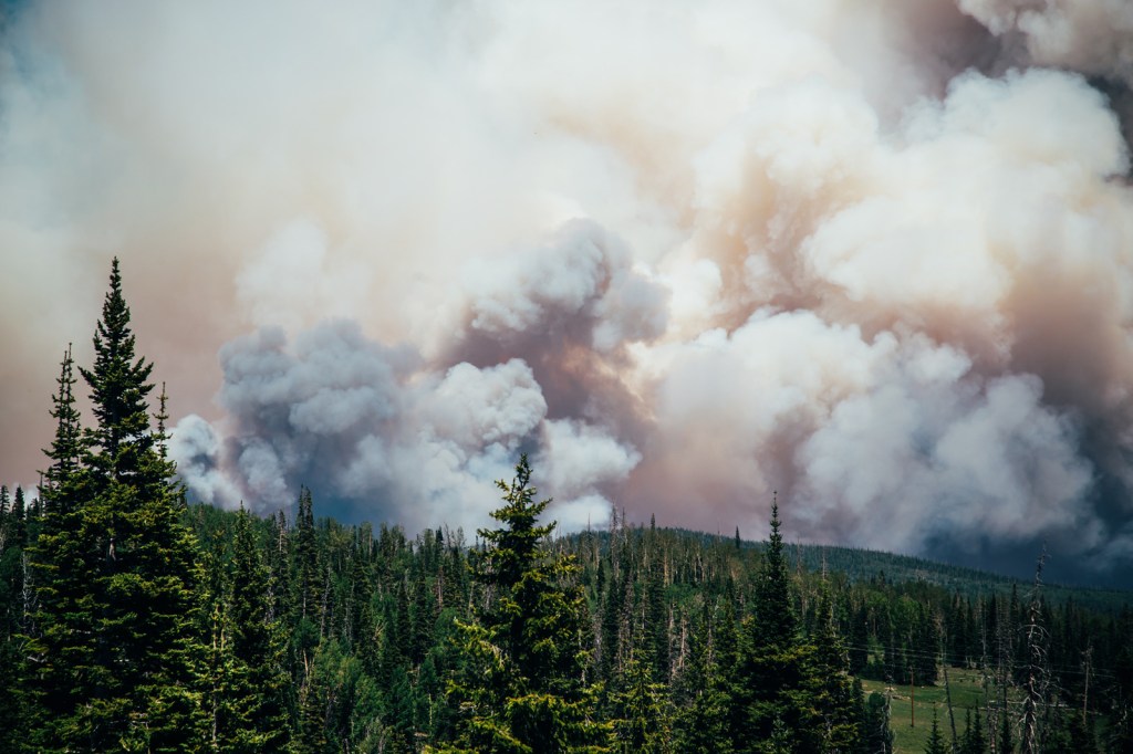 Thick smoke billows from a wildfire burning through a dense conifer forest in the mountains